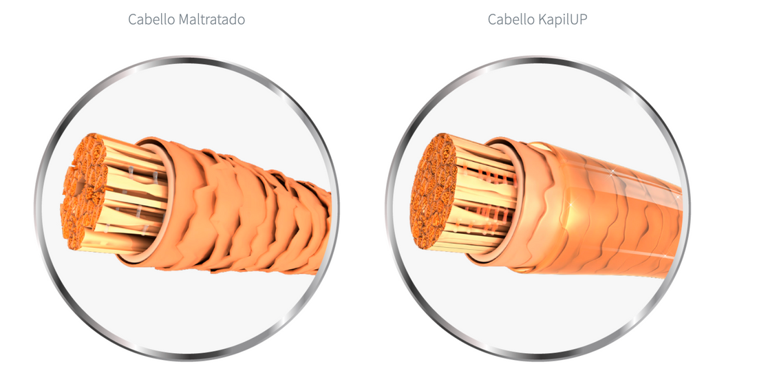 Cómo funciona el tratamiento capilar KapilUP